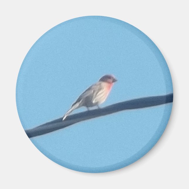 Fågel på tråd magnet (Framsidan)