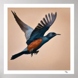 Fågel Poster