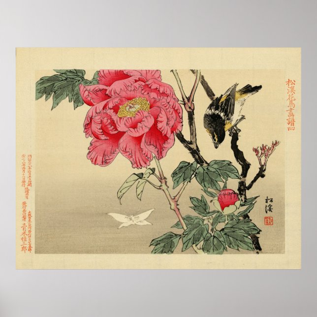 Fågel som tittar på fjäril poster (Framsidan)