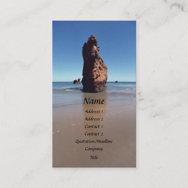 Fågel Sten-profilkort Visitkort (Framsida)