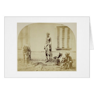 Fågel-Stoppare låg kast Hindus i Delhi, 19th cen Hälsningskort