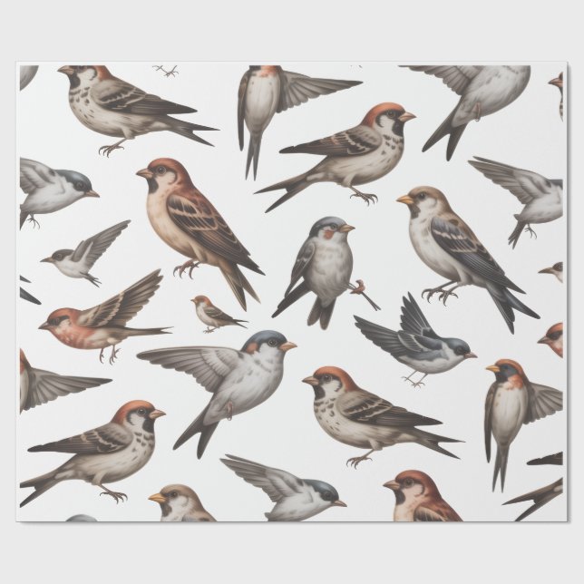 FÅGEL VÄGGPAPPER  PRESENTPAPPER (Platt)
