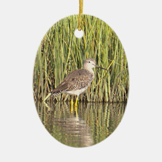 Fågel Vattenscen Foto Ornament