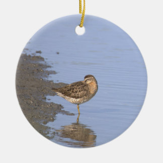 Fågel Vattenscen Ornament