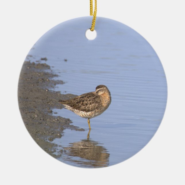 Fågel Vattenscen Ornament  (Framsidan)