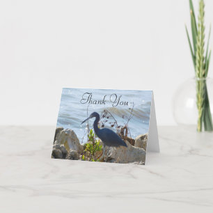 Fågel vid Lilla Blue Heron Bird Älskare Tack Kort