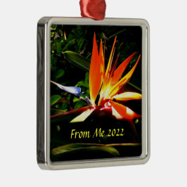 Fågel vid Paradise Jul Helgdag Ornament