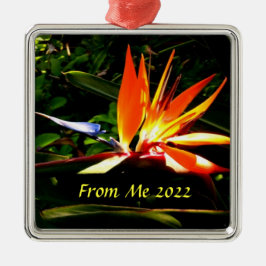Fågel vid Paradise Jul Helgdag Ornament