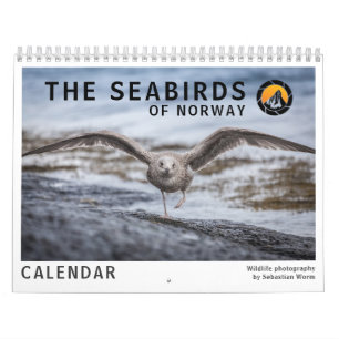 Fågel Vilda Liv Bilder 2027 Kalender