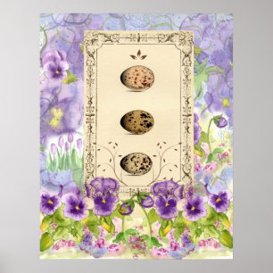 Fågelägg Vattenfärgsfärgsblommor Flower Pansies Co Poster