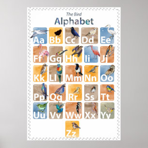 Fågelalfabet Poster