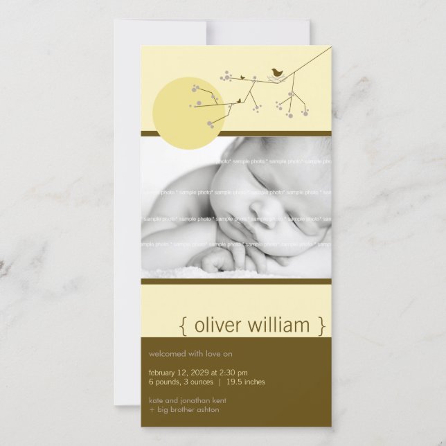 Fågelannonsering i Pojke om kapning av fåglar och  Meddelande (Framsida)