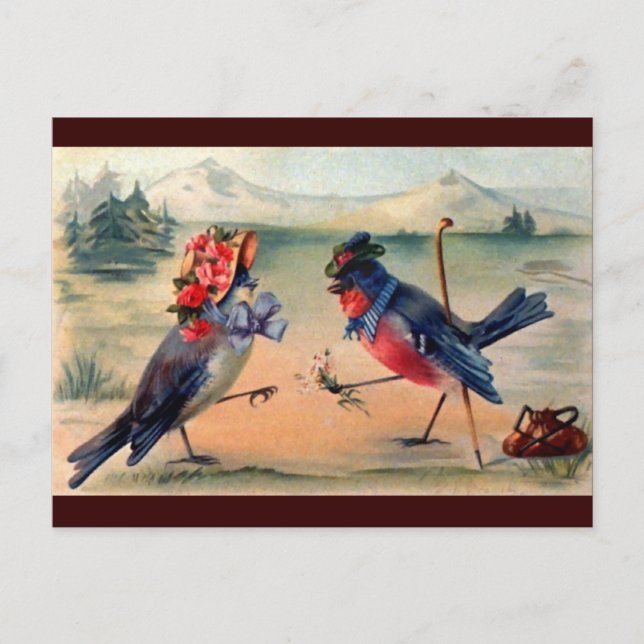 Fågelarskap Vykort (Framsida)