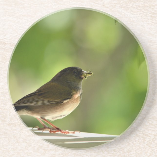 Fågelbakgrund i grönt löv underlägg (Framsidan)