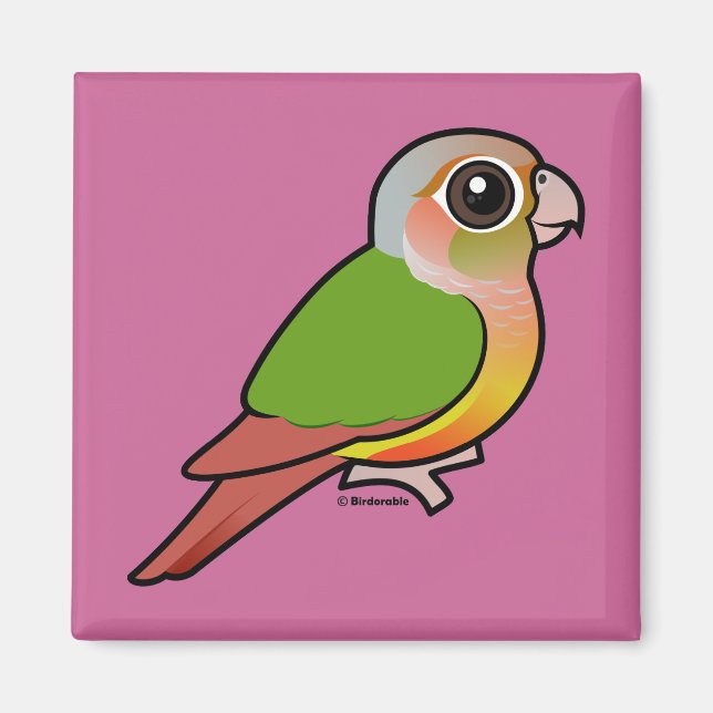 Fågelbar ananas Grönt-kontrollerad Conure Magnet (Framsidan)