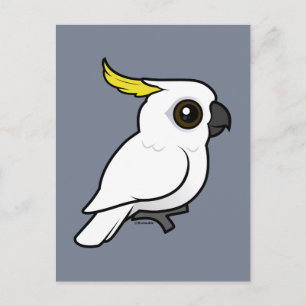 Fågelbar svavelbockig Cockatoo Vykort