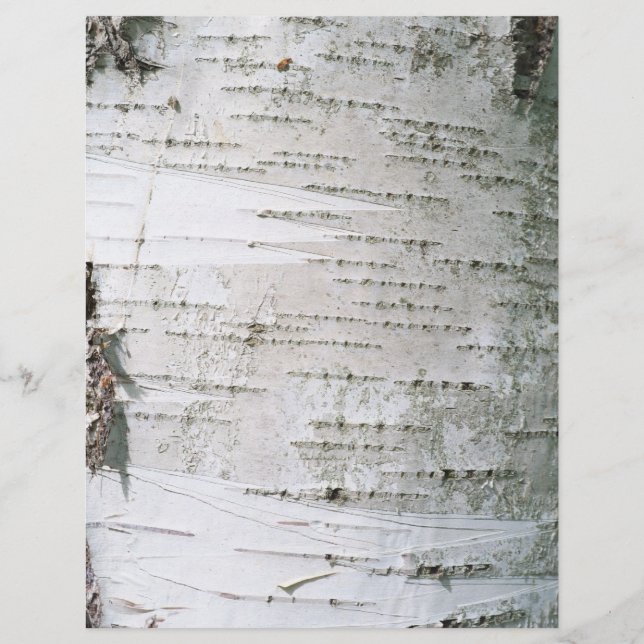 Fågelbark (Framsida)