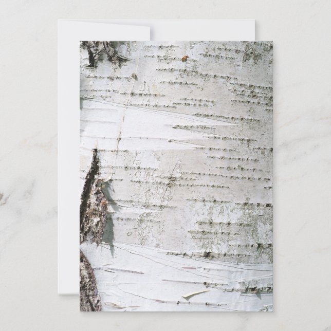 Fågelbark (Framsida)