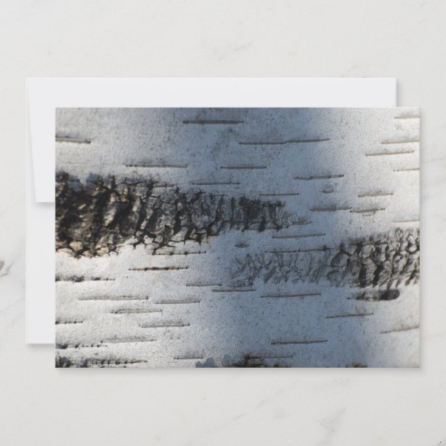 Fågelbark 1291 (Framsida)