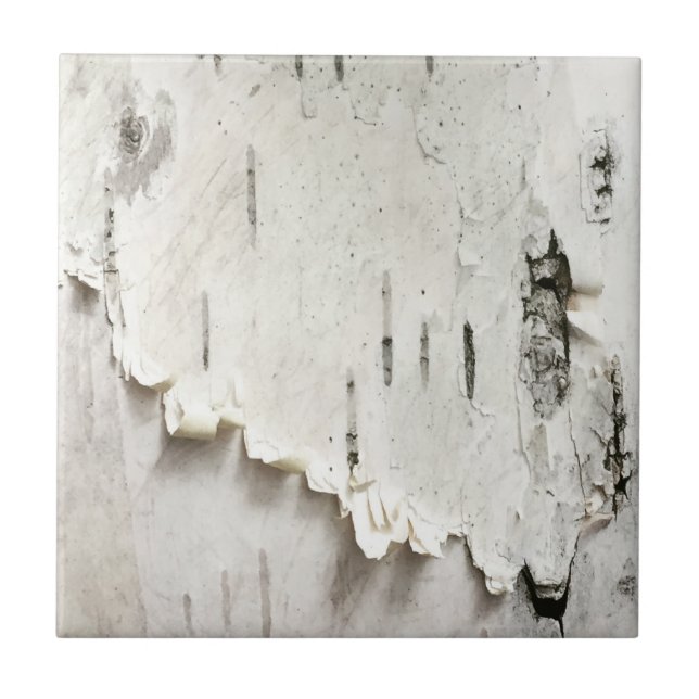 Fågelbark Kakelplatta (Framsidan)