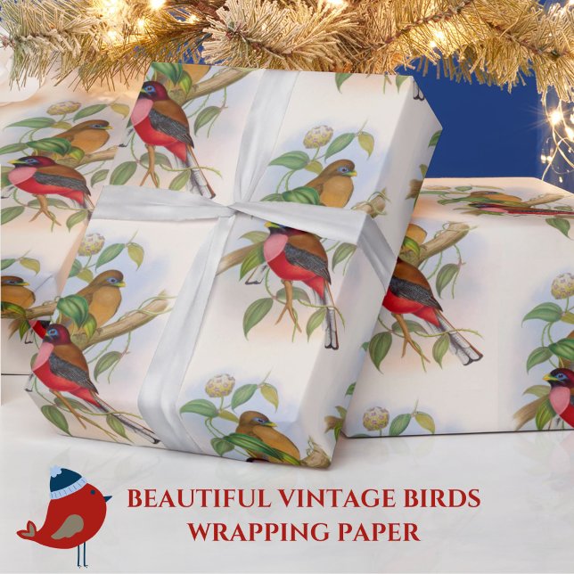 Fågelbelysning med vacker Vintage Färgstark Presentpapper (This vintage birds gift wrap is great for bird lovers or nature buffs!)
