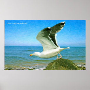 Fågelbild för Poster