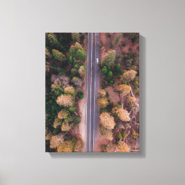 fågelbild i öga på vägen i mitten canvastryck