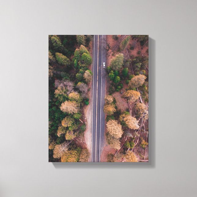 fågelbild i öga på vägen i mitten canvastryck (Framsida)