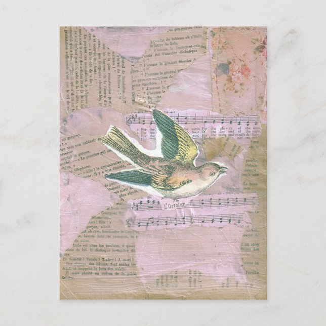 Fågelblandad mediesamling vykort (Framsida)