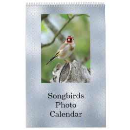 Fågelblått foto-Anpassade Kalender