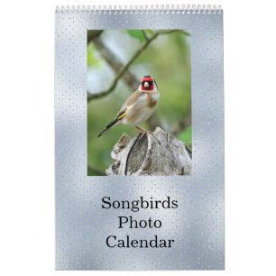 Fågelblått foto-Anpassade Kalender
