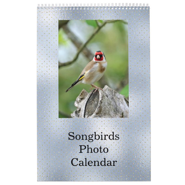 Fågelblått foto-Anpassade Kalender (Omslag)