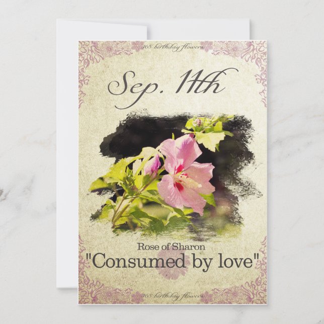 Fågelblommor den 11 september "Ro i Sharon Kort (Framsida)