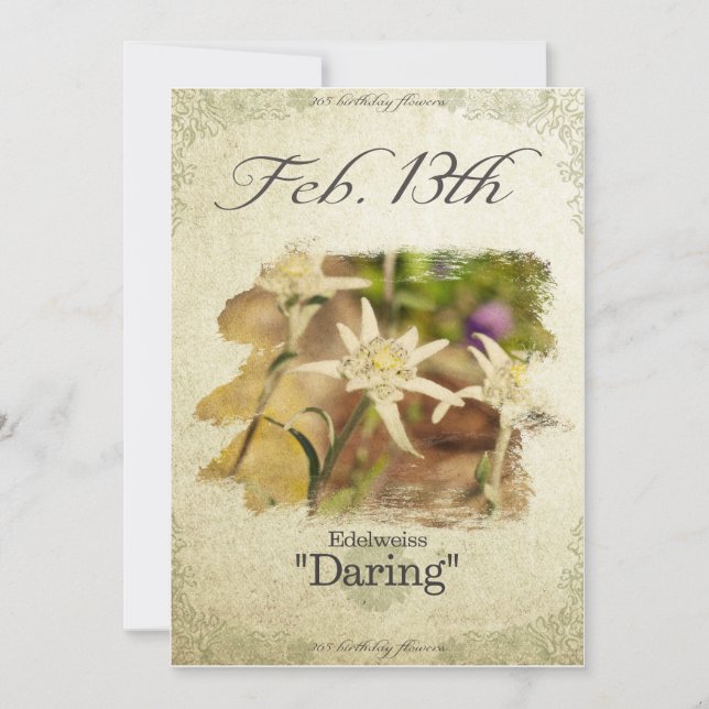 Fågelblommor den 13 februari "Edelweiss" Kort (Framsida)