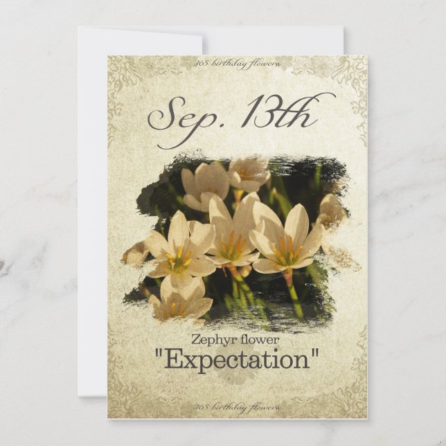 Fågelblommor den 13 september "Zephyr-blomman" Kort (Framsida)