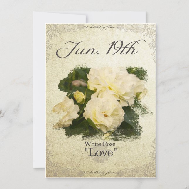 Fågelblommor den 19 juni "Vit ros" Kort (Framsida)