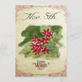 Fågelblommor den 5 november kort