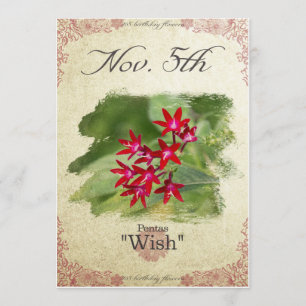 Fågelblommor den 5 november kort