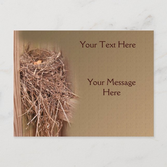 Fågelbo i närområdet vykort (Framsida)