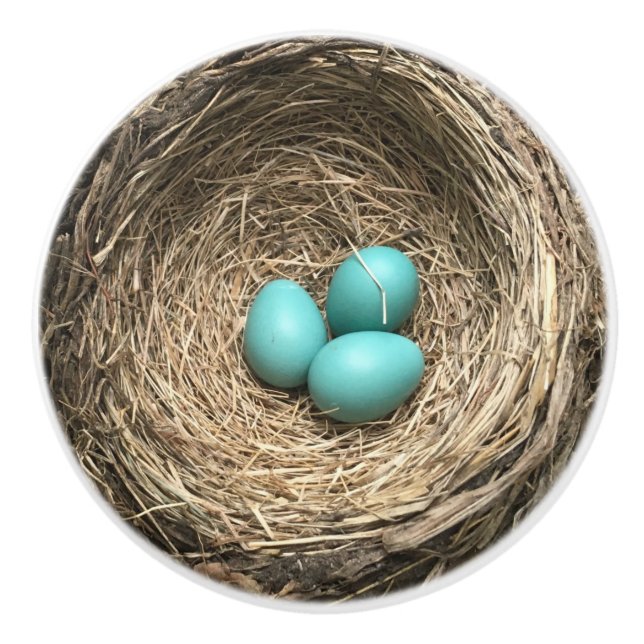 Fågelbo med blåa ägg knopp (Framsidan)