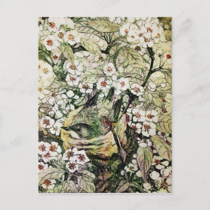 FÅGELBO, TRÄD MED BRUNA VITA VÅRBLOMMOR MEDDELANDE VYKORT