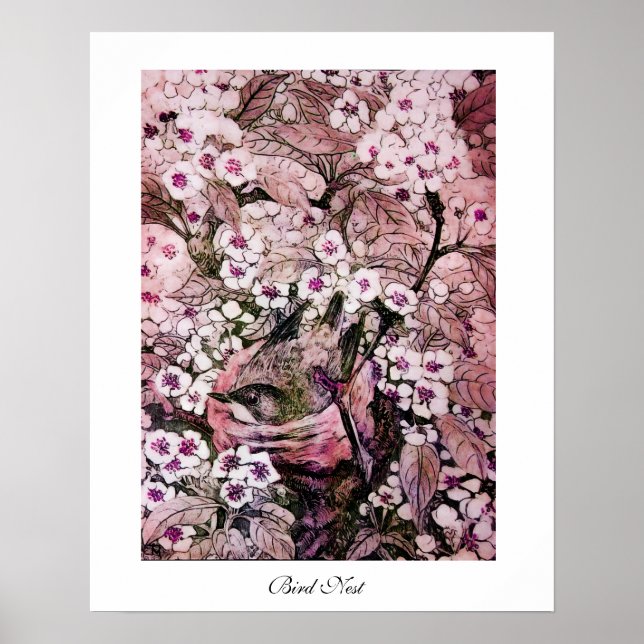 FÅGELBO ,vit röd rosa Poster (Framsidan)