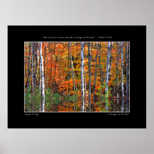 Fågelbyten Poster (Framsidan)