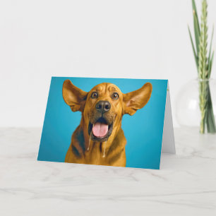 Fågeldag Drooling Bloodhound Humor Kort