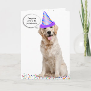 Fågeldag Golden Retriever på stjärnor Kort