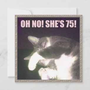 Fågeldag i 75:e (katt) kort
