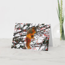 Fågeldagen för ekorrel Snö Red Berry Träd