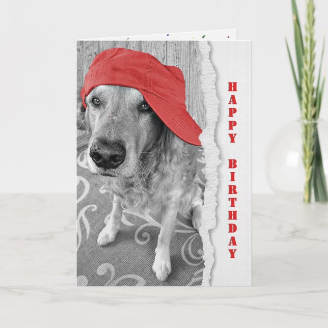 Fågeldags Golden Retriever med rött tak Kort (Framsida)