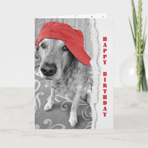 Fågeldags Golden Retriever med rött tak Kort