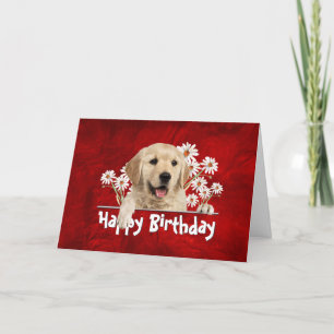 Fågeldags Golden Retriever på rött läder Kort